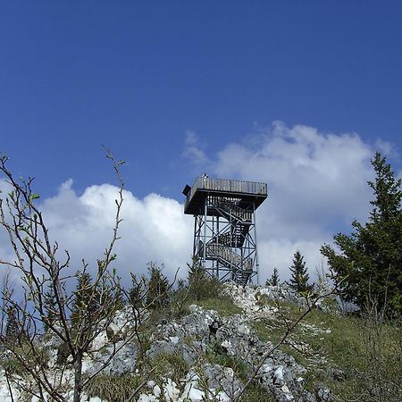 ホテル Haus Bergblick Maiersdorf エクステリア 写真