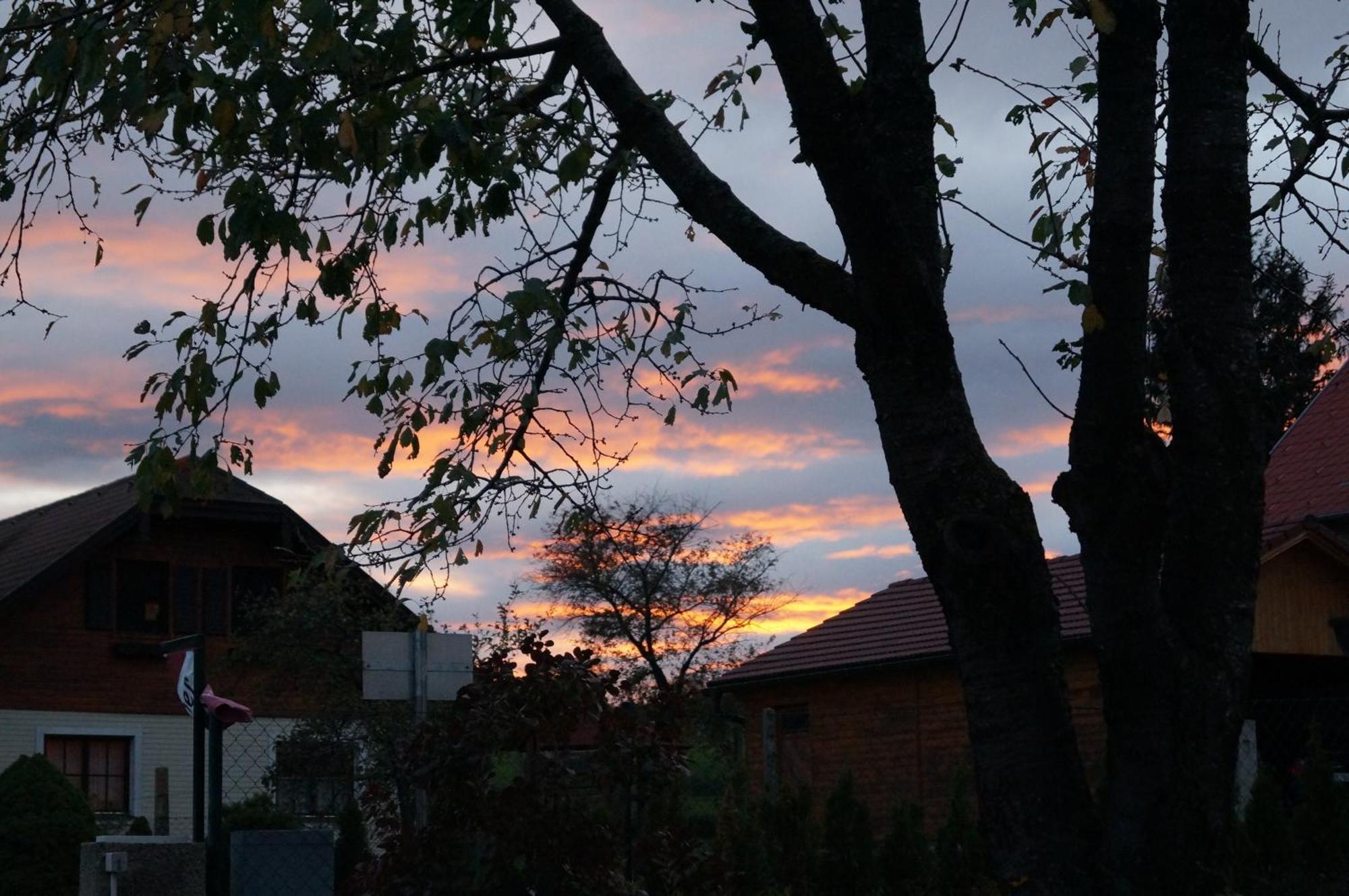 ホテル Haus Bergblick Maiersdorf エクステリア 写真
