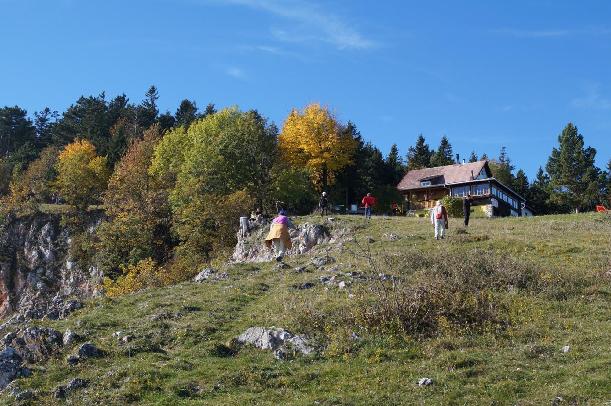 ホテル Haus Bergblick Maiersdorf エクステリア 写真