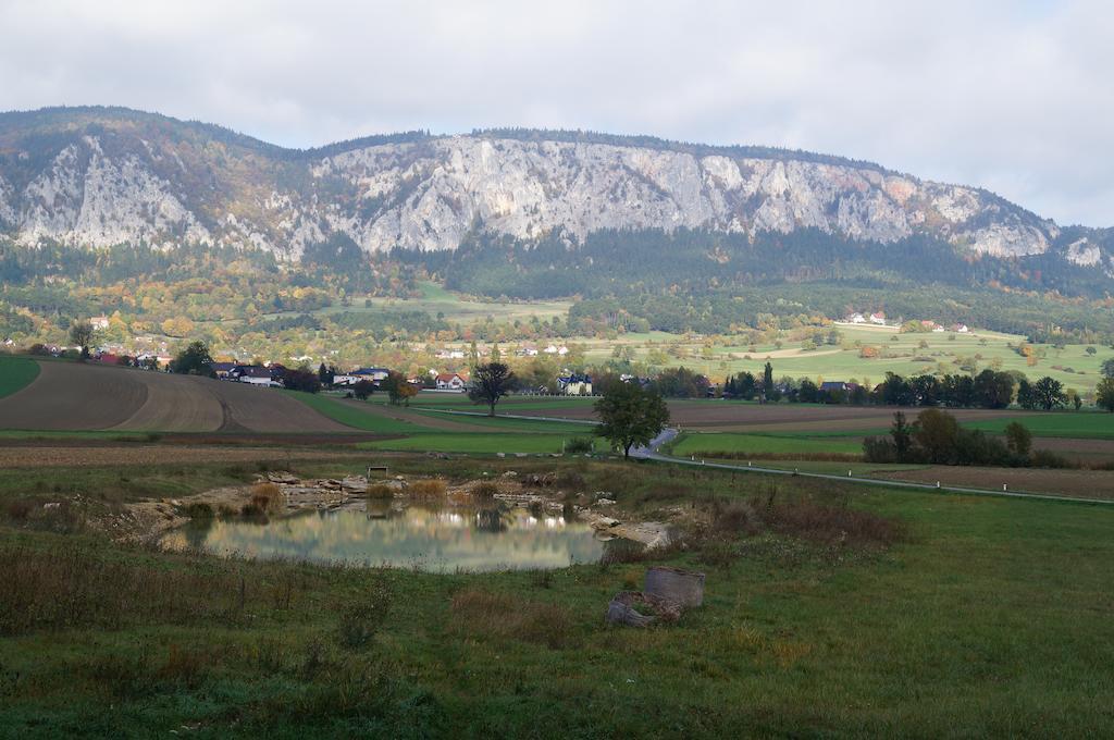ホテル Haus Bergblick Maiersdorf エクステリア 写真